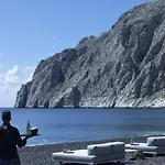 Bellonias