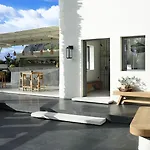 Bellonias