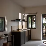 Bellonias 4*
