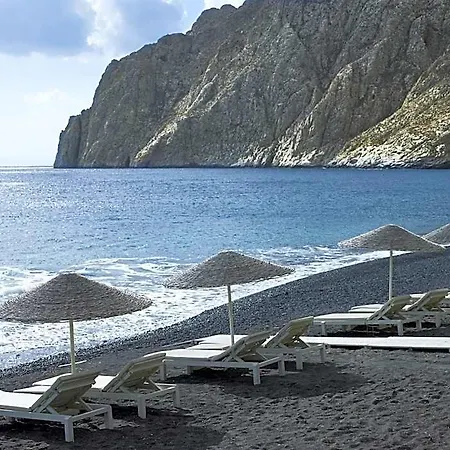 Bellonias 4*