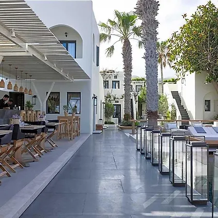 Bellonias 4*
