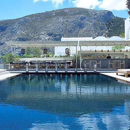 Bellonias 4*
